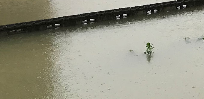 池の石橋と化したブロック塀