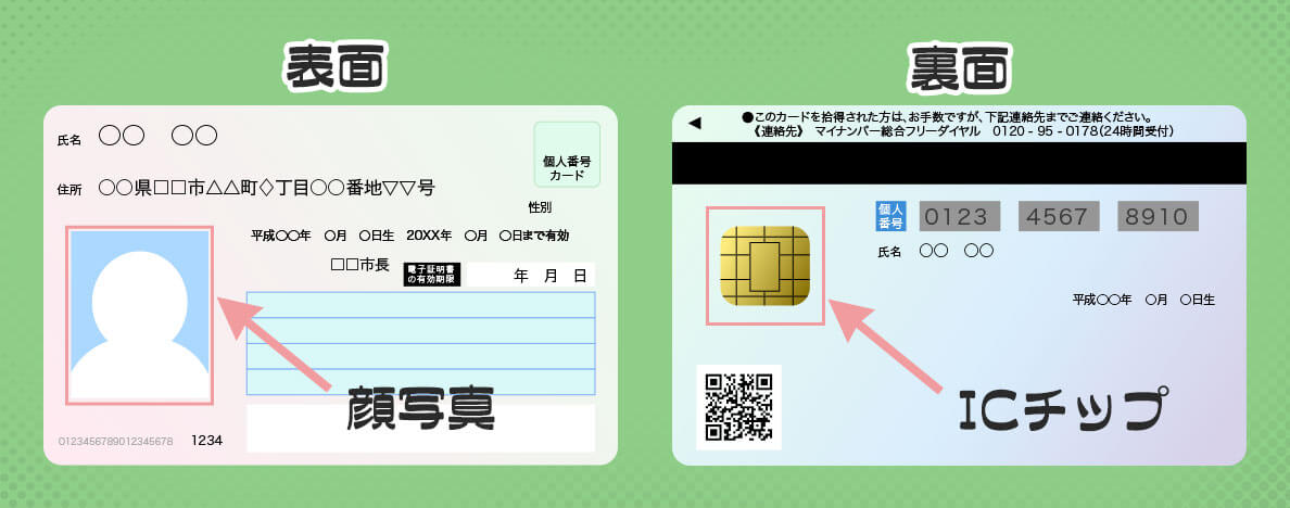 マイナンバーの表面と裏面